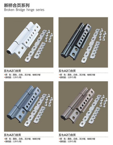 Broken bridge door hinge